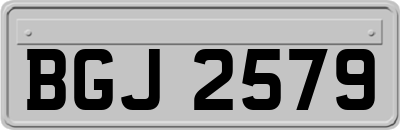 BGJ2579