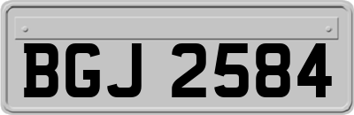 BGJ2584