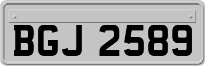BGJ2589