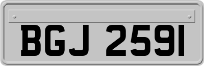 BGJ2591