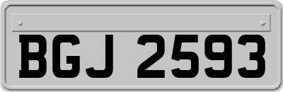 BGJ2593