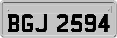 BGJ2594