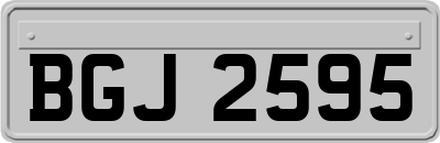 BGJ2595