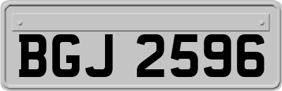 BGJ2596