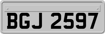 BGJ2597