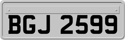 BGJ2599