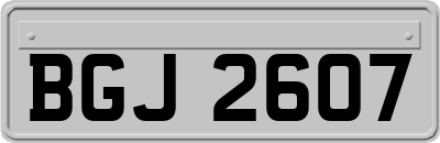 BGJ2607