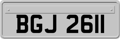 BGJ2611