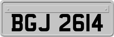 BGJ2614