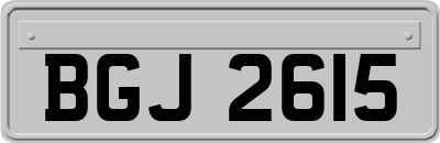 BGJ2615