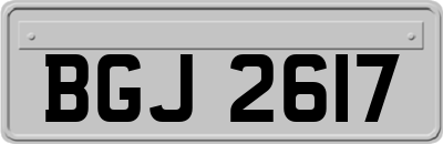 BGJ2617