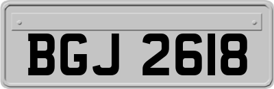 BGJ2618