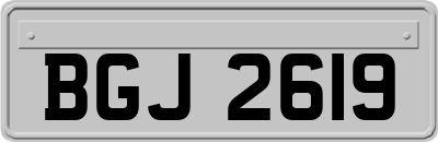BGJ2619
