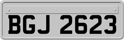 BGJ2623