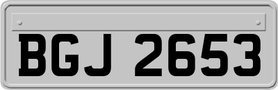 BGJ2653