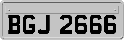 BGJ2666
