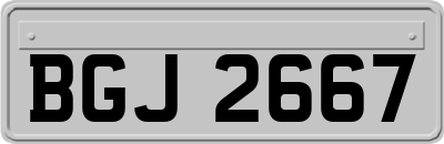 BGJ2667