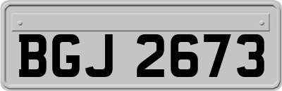 BGJ2673