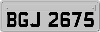 BGJ2675