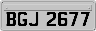 BGJ2677