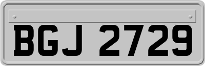 BGJ2729