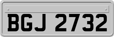 BGJ2732