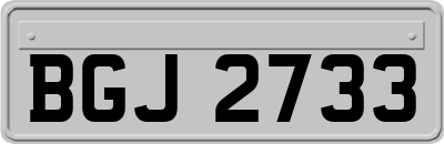 BGJ2733