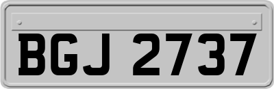 BGJ2737