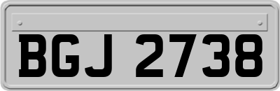 BGJ2738