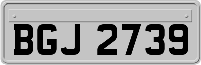 BGJ2739