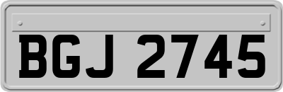 BGJ2745