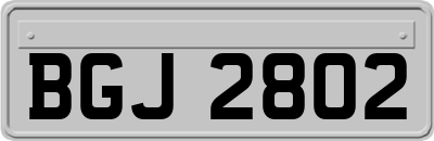 BGJ2802