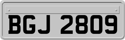 BGJ2809