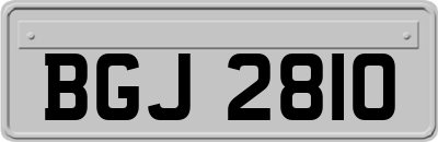 BGJ2810
