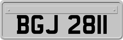 BGJ2811