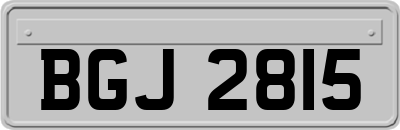 BGJ2815