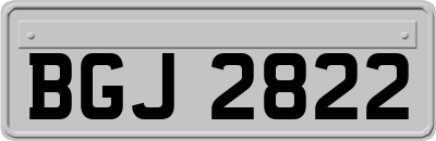 BGJ2822