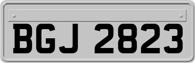 BGJ2823