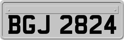 BGJ2824