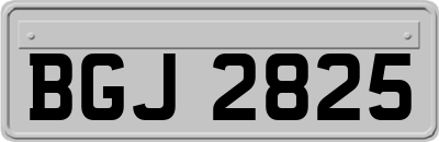 BGJ2825