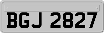 BGJ2827