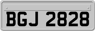 BGJ2828