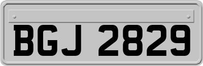 BGJ2829