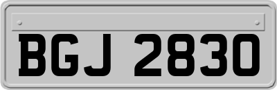 BGJ2830