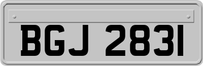 BGJ2831