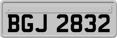 BGJ2832