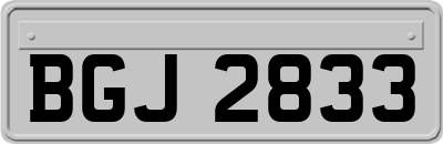 BGJ2833