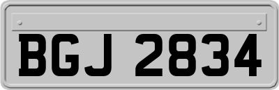 BGJ2834