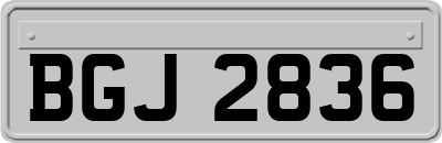 BGJ2836