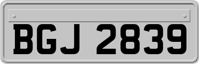BGJ2839